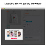 Display the TikTok Videos On Your Store module for PrestaShop